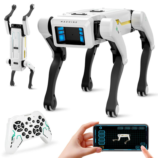 Dingdongwu Robot Dog